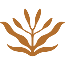 Kendi Gerçeğini Bul