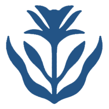 Kendi Gerçeğini Bul