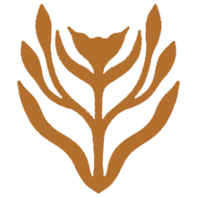 Kendi Gerçeğini Bul